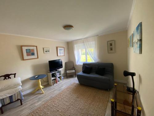 un salon avec un canapé et une télévision dans l'établissement T2 centre Erquy, à Erquy