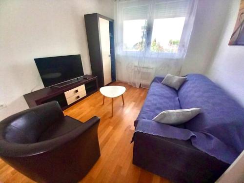 Apartman Nikola Tesla