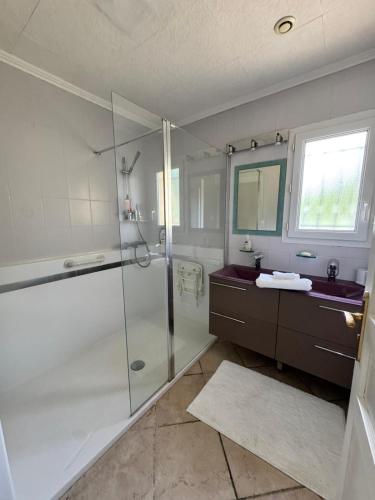 une salle de bain blanche avec une douche et un lavabo dans l'établissement La Maison Gina, à Ginasservis