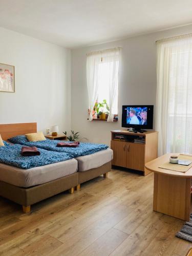a bedroom with two beds and a flat screen tv at Apartmán Karo, Oščadnica in Oščadnica