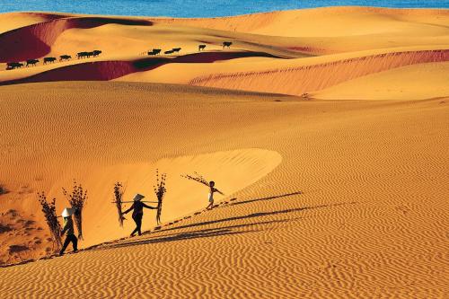 Gambar di galeri bagi The Raclay Mandala Resident - Just 15 minutes from the Mui Ne Red Sand Dunes di Mui Ne