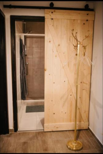 a bathroom with a shower and a wooden door at Gemütliche zentrumsnahe Wohnung, eigene Terrasse in Cologne