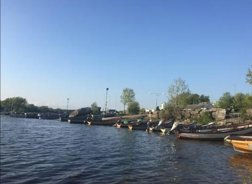 a row of boats are lined up in the water at The Bungalow in Ballinrobe