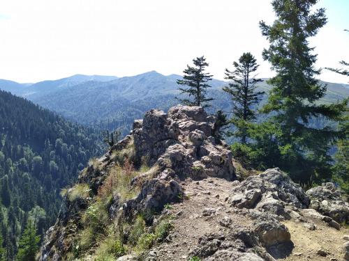 a rocky mountain with trees on top of it at House in forest in Gomi