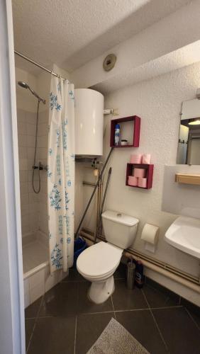 une salle de bain avec toilettes, douche et lavabo dans l'établissement Studio Les logis de Paray, à Paray-le-Monial