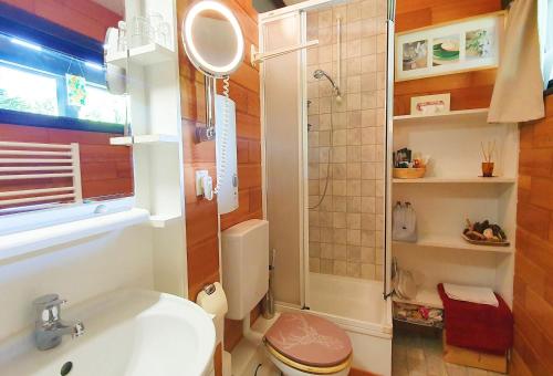 a bathroom with a shower and a sink and a toilet at Begonie2 in Siegsdorf