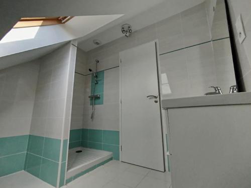 une salle de bain avec douche et lavabo dans l'établissement Grande maison familiale, à Penmarcʼh