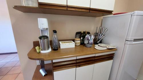 a kitchen with a counter and a refrigerator at Il Mulin Dell'Architetto in Fornaci di Barga