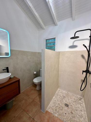a bathroom with a sink and a toilet in it at Domaine De Grande Terre in Saint-François
