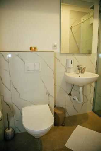 a bathroom with a toilet and a sink at Wellness Spa Hotel Zeleni Raj in Banja Luka