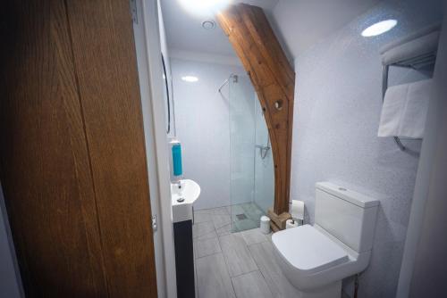 a small bathroom with a toilet and a shower at St Michaels Lodge in Richmond
