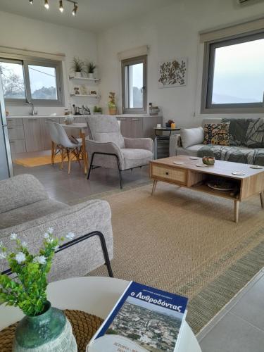 Olive & Pinetree House