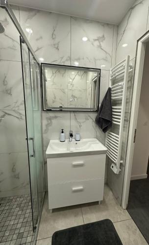 une salle de bain blanche avec un lavabo et une douche dans l'établissement Appartement 3 pieces proche du Negresco, à Nice