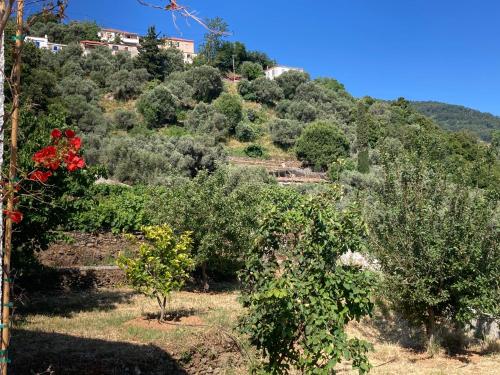 Φυσικό τοπίο κοντά σε αυτή η παραθεριστική κατοικία