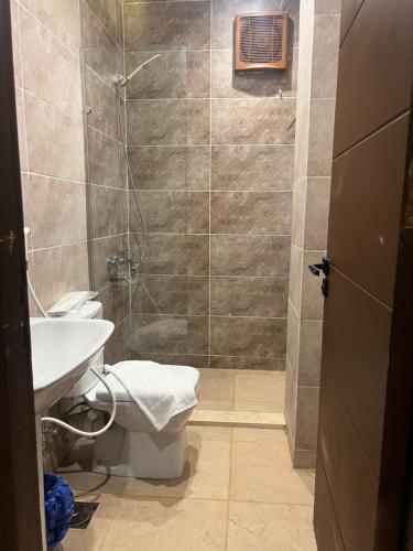 a bathroom with a shower and a toilet and a sink at Isis pyramids in Giza