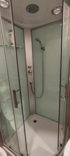 a bathroom with a shower with a glass door at No work in Ivišovo Greblje