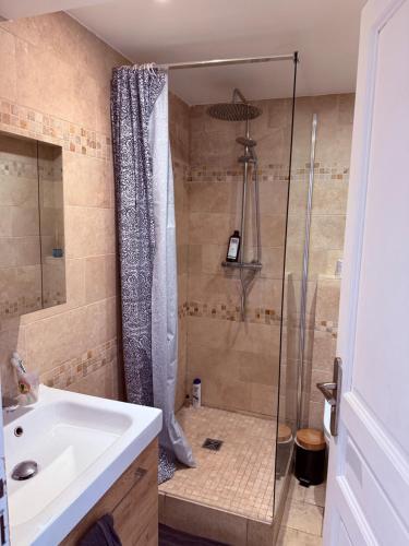 une salle de bain avec douche et lavabo dans l'établissement Charme, Pierres, Appartement Vieil Antibes, à Antibes