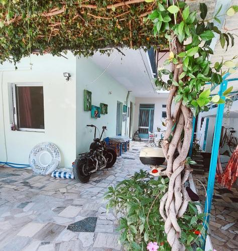 Taman di luar Kraken Apartment