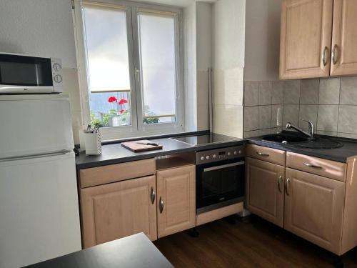 フランクフルト・アム・マインにあるSunnyApartmentsのキッチン(コンロ、シンク、冷蔵庫付)