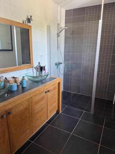 a bathroom with a sink and a shower with a mirror at Le clos du Broca in Clermont-Pouyguilles