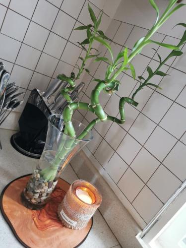 a plant in a vase on a counter with a candle at Nakupenda Afrika near JNIA Airport in Kisarawe