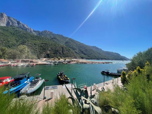 a group of boats docked in a body of water at Sublime Appart T2 in Bastia