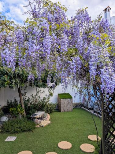a wisteria tree with purple flowers on a fence at La casa del glicine Marrubiu in Marrùbiu