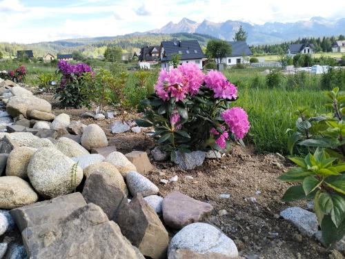 a garden with pink flowers and rocks at Siedem Światów in Jurgów