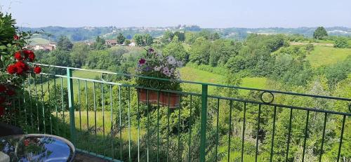 a balcony with a flower pot on a fence at La Terrazza Mombarone in Asti