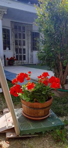 a pot of red flowers sitting on a table at La Terrazza Mombarone in Asti