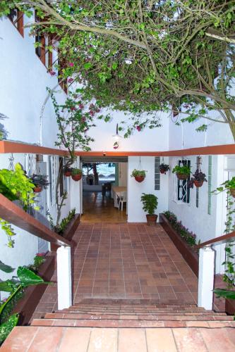 a courtyard in a house with potted plants at Hotel Restaurant Wuarao - Antiguo Club Rolling Stones in Boca Chica