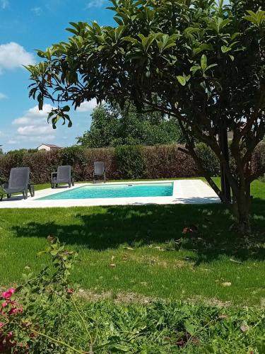 a swimming pool in a yard with a tree at Casa Martina in Canale