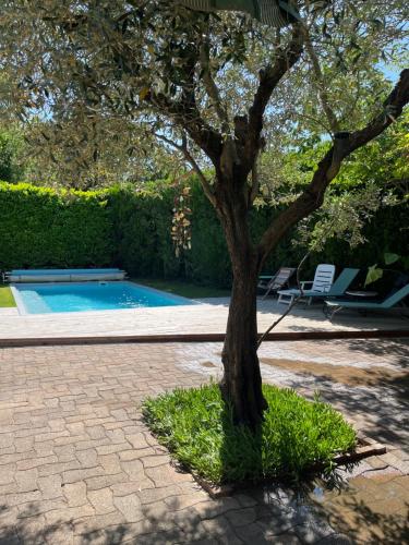 Photo de la galerie de l'établissement Maison familiale de 3 chambres en campagne, à Sérignan-du-Comtat