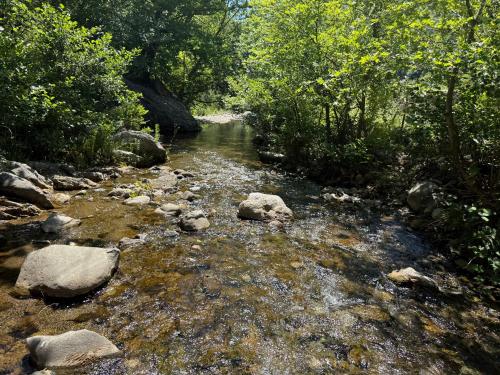 a stream of water with rocks and trees at Camping-Baven-Toven Naturae in (( Bulshizë ))