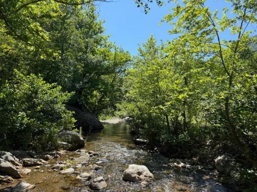 a river with rocks and trees on the side at Camping-Baven-Toven Naturae in (( Bulshizë ))