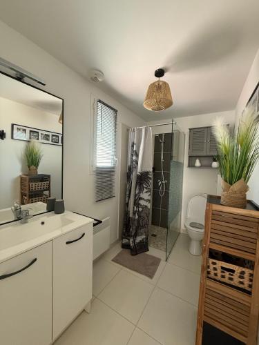 a bathroom with a shower and a sink and a toilet at L'étoile des pins in Longeville-sur-Mer