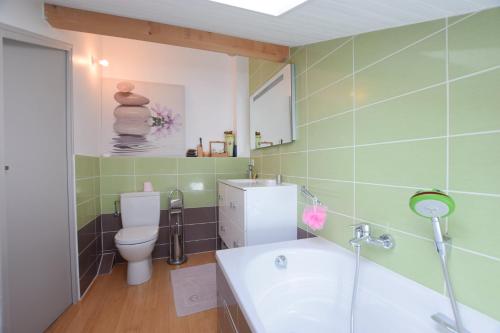 une salle de bain avec toilettes et lavabo dans l'établissement Le refuge du Chablais, à Saint-Paul-en-Chablais