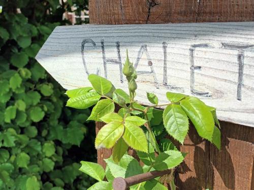 a plant is growing next to a sign on a fence at Chalet des noisetiers in Seix