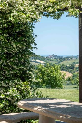 a stone bench sitting in a field with a tree at B&B La Casa del Gallese in Sorbolongo