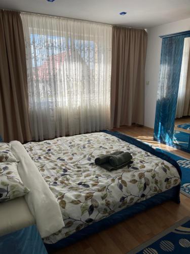 Postel nebo postele na pokoji v ubytování Casa Traiana
