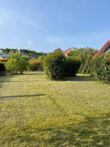 a field of grass with bushes and trees at Joy house in Munkebo