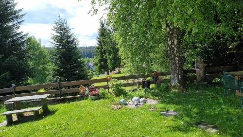 Příroda nedaleko apartmánu