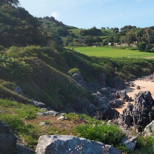 a view of a beach and a grassy hill at Ático con Terraza en Isla in Isla