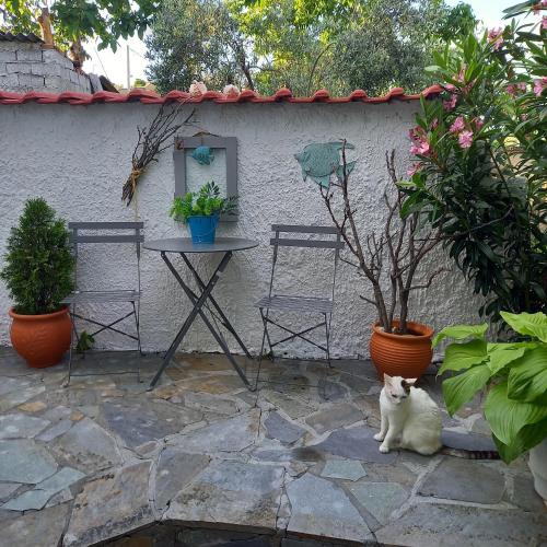 Сад в La Casa Di Elena