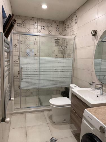 a bathroom with a shower and a toilet and a sink at Kobuleti apartment in Kobuleti