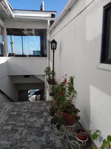 a courtyard with potted plants and a building at HOTEL MELLATTI in San Antonio
