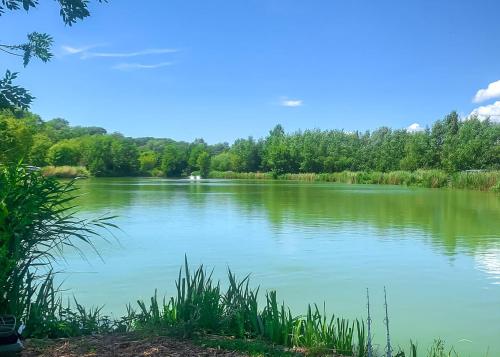 a view of a lake with trees in the background at Swanborough Lakes Luxury Lodges in Lewes