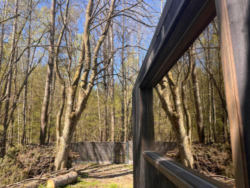 a window view of a forest from a house at GRANIASTY - nowoczesny dom wakacyjny z basenem in Smażyno