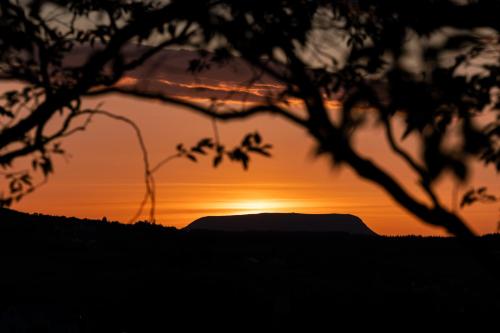 a sunset seen through the silhouette of a tree at 1 bedroom Apartment Ballaghderg Letterkenny in Letterkenny