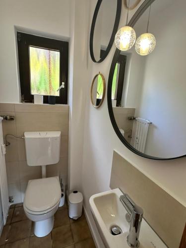 a bathroom with a toilet and a sink and a mirror at EifelZeit 1 in Kall
